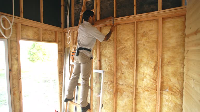 Trusted Adel, IA Insulation Experts