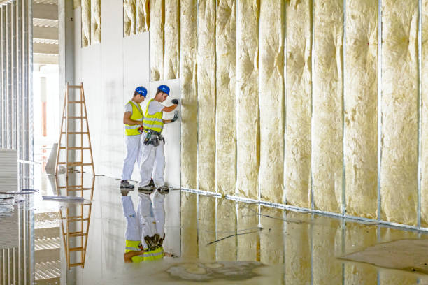 Best Insulation Air Sealing  in Adel, IA